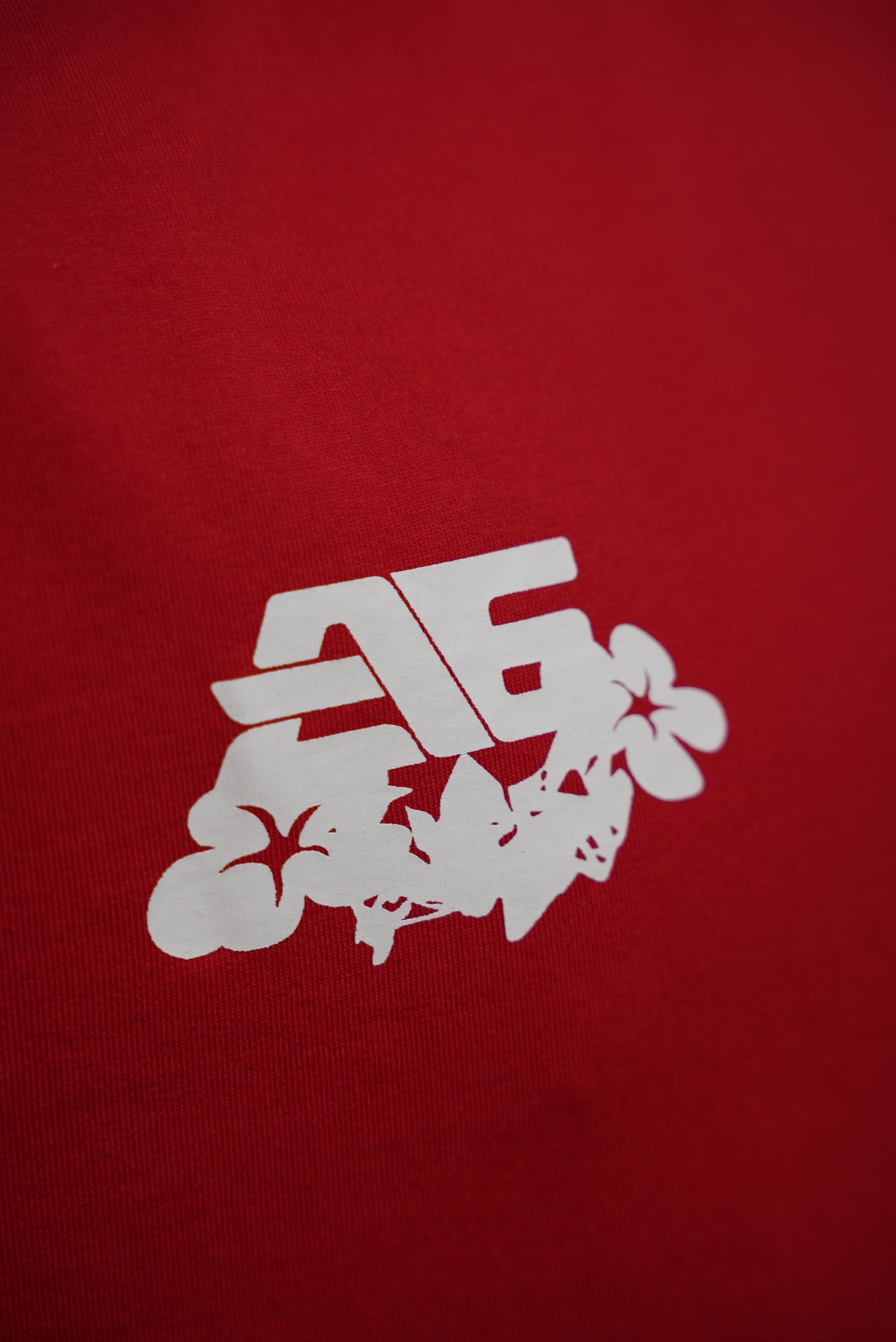 T-Shirt, R34 Mountains Style
