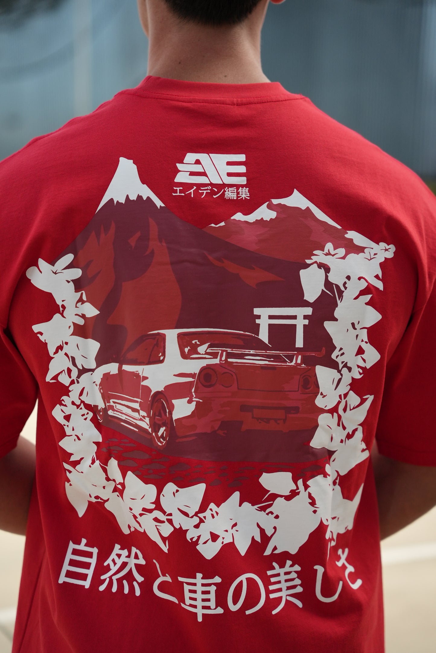 T-Shirt, R34 Mountains Style